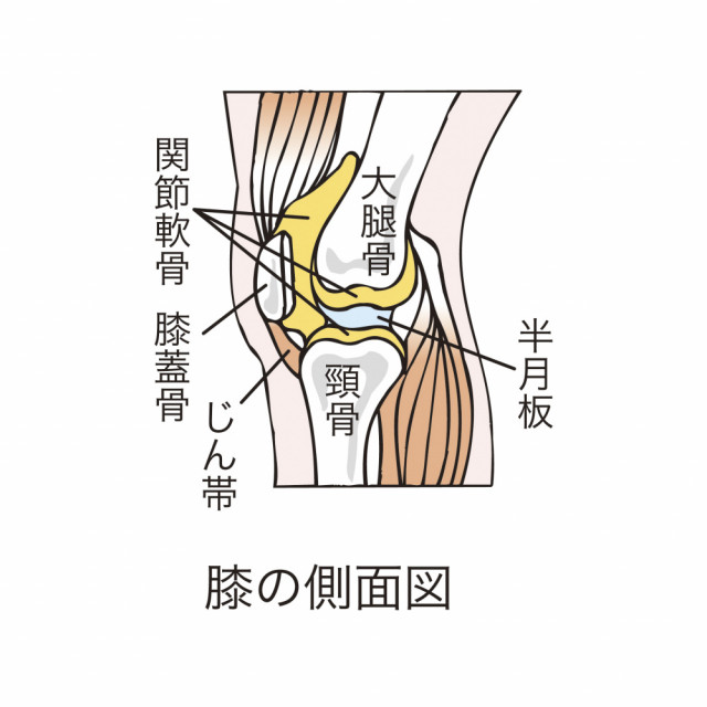 膝を抱える人