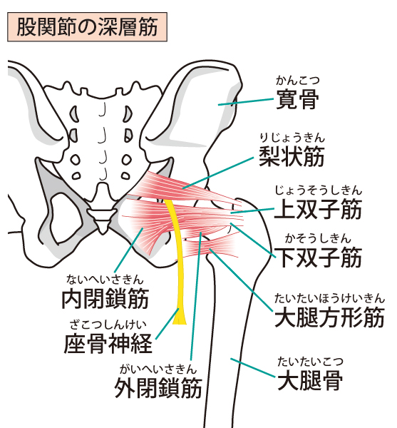 坐骨神経痛を気にする男性