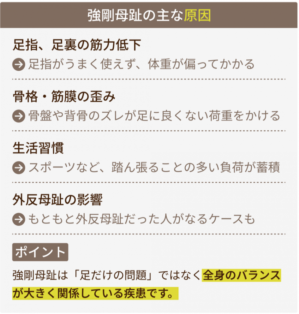 主な原因
