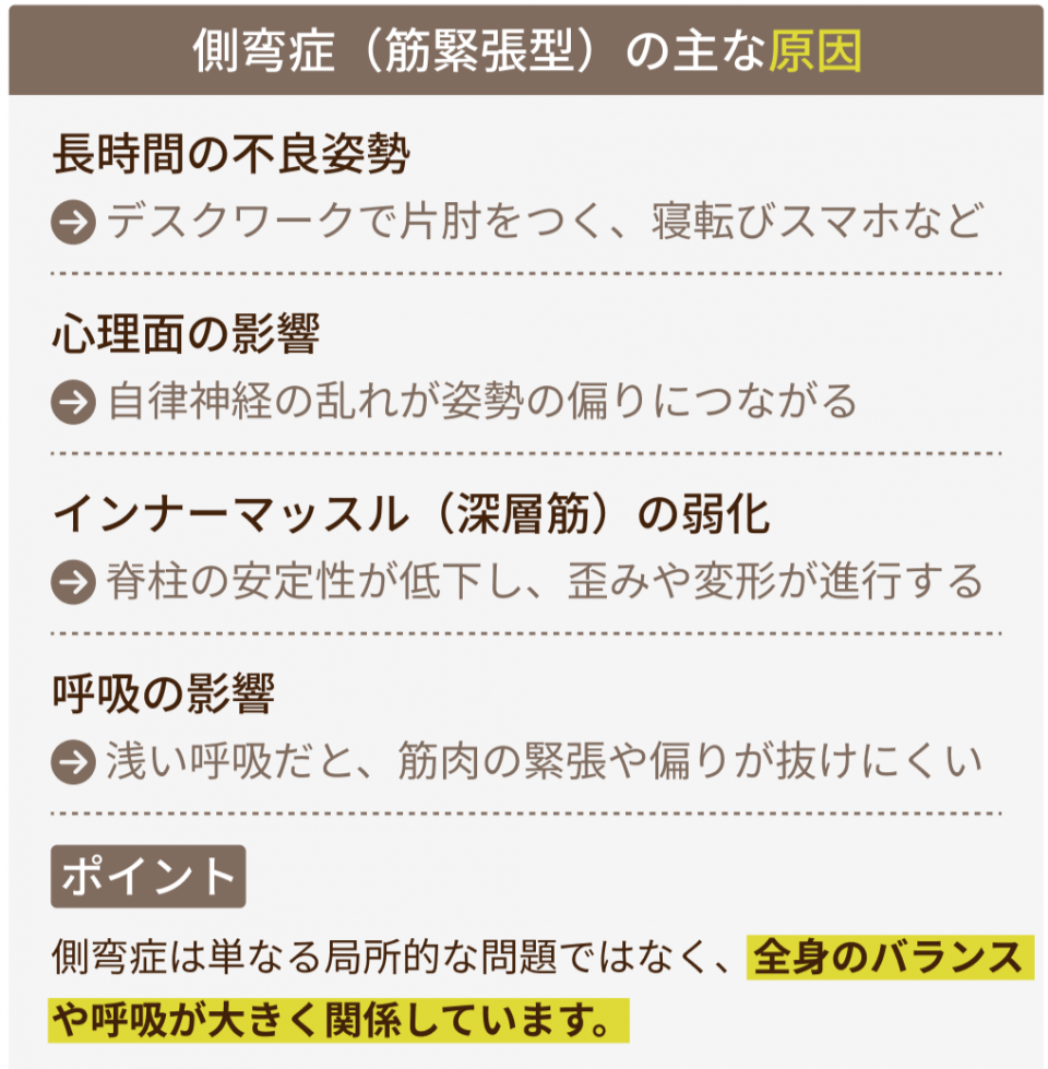 主な原因